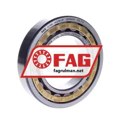 FAG NJ215E-M1