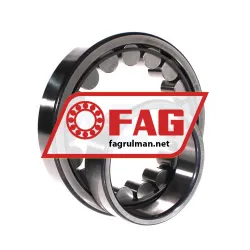 FAG NU220-E-XL-JP3-C3 rulman resim 2