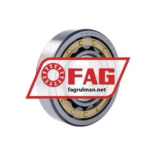 FAG NJ315-E-XL-M1-F1-C4