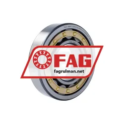 FAG NJ315-E-XL-M1-F1-C4