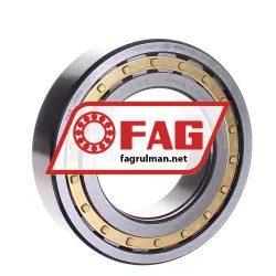 FAG NUP2215-E-XL-M1-C3