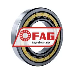 FAG NU221-E-XL-M1-F1-C4