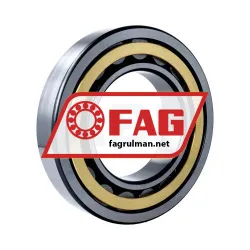 FAG NU221-E-XL-M1-F1-C4 rulman resim 2