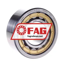 FAG NJ2309-E-XL-M1-C4