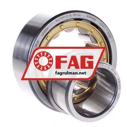 FAG NJ2309-E-XL-M1-C4 rulman resim 2