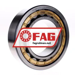 FAG NJ2224-E-XL-M1