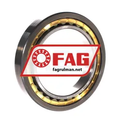 FAG NJ1020-XL-M1-C3