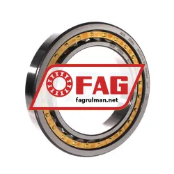 FAG NU1022-XL-M1