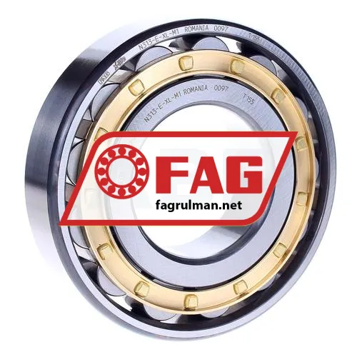 FAG N313-E-XL-M1