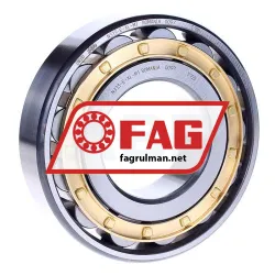FAG N313-E-XL-M1