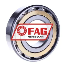 FAG N313-E-XL-M1 rulman resim 2