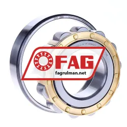 FAG N313-E-XL-M1 rulman resim 3