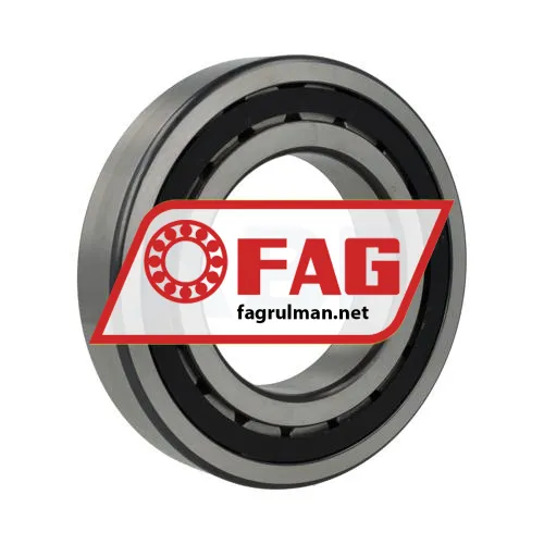 FAG NJ220-E-XL-TVP2-C3