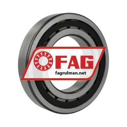 FAG NJ220-E-XL-TVP2-C3