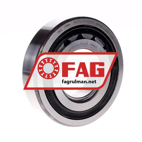 FAG NUP313-E-XL-TVP2-C3