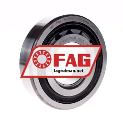 FAG NUP313-E-XL-TVP2-C3