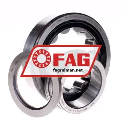 FAG NUP313-E-XL-TVP2-C3 rulman resim 2