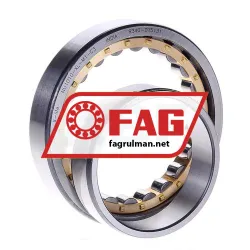FAG NU1010-XL-M1-C3 rulman resim 2