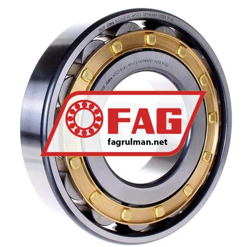 FAG N321-E-XL-M1-C3