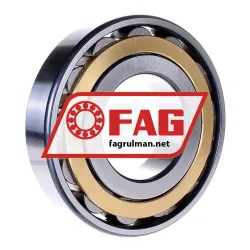 FAG N321-E-XL-M1-C3 rulman resim 3