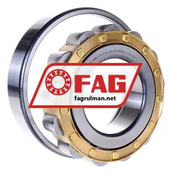 FAG N321-E-XL-M1-C3 rulman resim 4