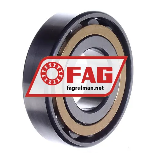 FAG N309-E-XL-M1-C3 ürün fotoğrafı 3