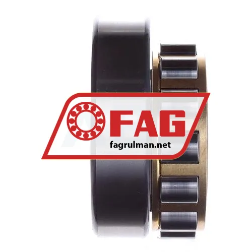 FAG N309-E-XL-M1-C3 ürün fotoğrafı 6