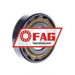 FAG N309-E-XL-M1-C3