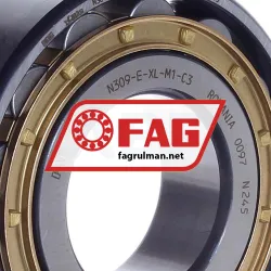 FAG N309-E-XL-M1-C3 rulman resim 2