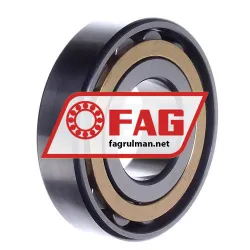 FAG N309-E-XL-M1-C3 rulman resim 3
