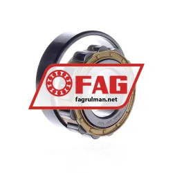 FAG N309-E-XL-M1-C3 rulman resim 4