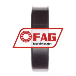FAG N309-E-XL-M1-C3 rulman resim 5