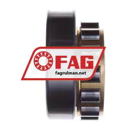 FAG N309-E-XL-M1-C3 rulman resim 6