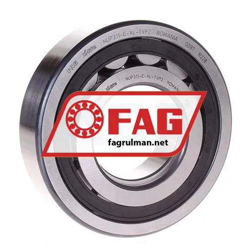 FAG NUP311-E-XL-TVP2