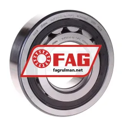 FAG NUP311-E-XL-TVP2