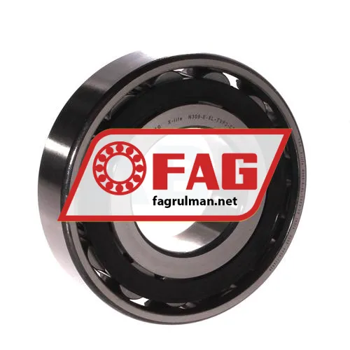 FAG N309-E-XL-TVP2-C3