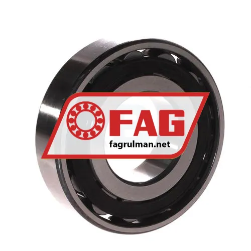 FAG N309-E-XL-TVP2-C3 ürün fotoğrafı 2
