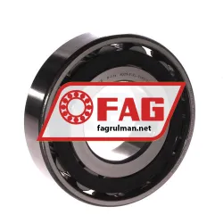 FAG N309-E-XL-TVP2-C3