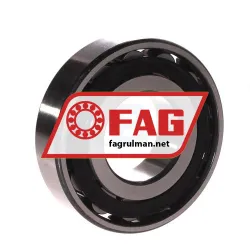 FAG N309-E-XL-TVP2-C3 rulman resim 2