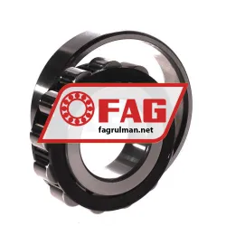FAG N309-E-XL-TVP2-C3 rulman resim 3