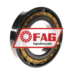 FAG N217-E-XL-M1