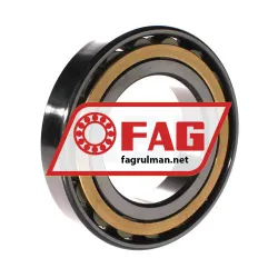 FAG N217-E-XL-M1 rulman resim 2