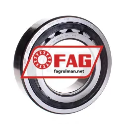 FAG NUP2219-E-XL-TVP2