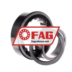 FAG NUP2219-E-XL-TVP2 rulman resim 3