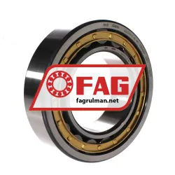 FAG NJ2219-E-XL-M1