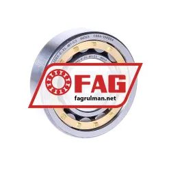 FAG NJ205-E-XL-M1-C3