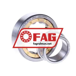 FAG NJ205-E-XL-M1-C3 rulman resim 2