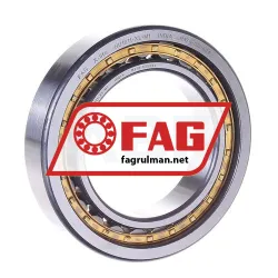 FAG NU1011-XL-M1