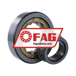 FAG NJ411-XL-M1-C3 rulman resim 3