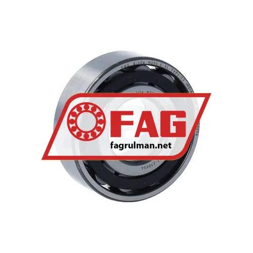 FAG N204-E-XL-TVP2-C3
